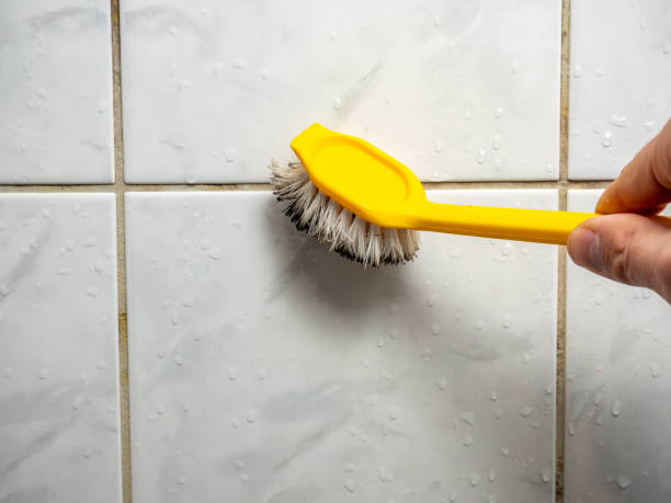 Certified Mold Removal in Nemacolin, PA