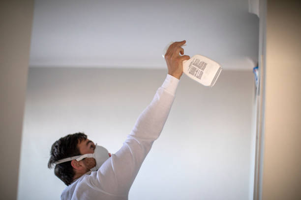 Best Mold Remediation Experts  in Nemacolin, PA