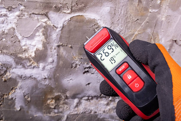 Best Fast Mold Removal  in Nemacolin, PA