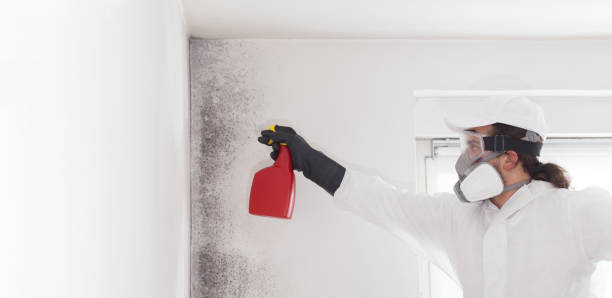 Water Damage Restoration in Nemacolin, PA